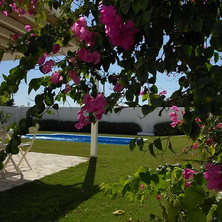 Bed & Breakfast Manta Alacati