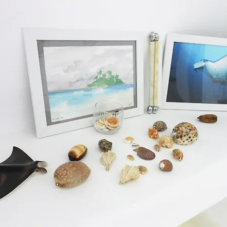 Bed & Breakfast Manta Alaçatı